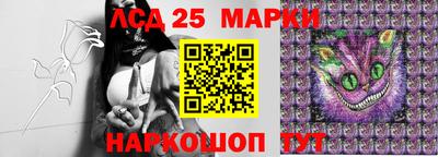 jwh Будённовск
