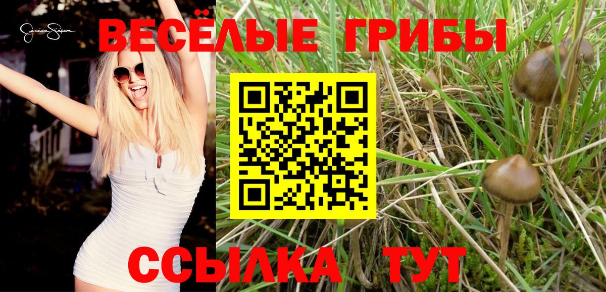Галлюциногенные грибы MAGIC MUSHROOMS Магадан