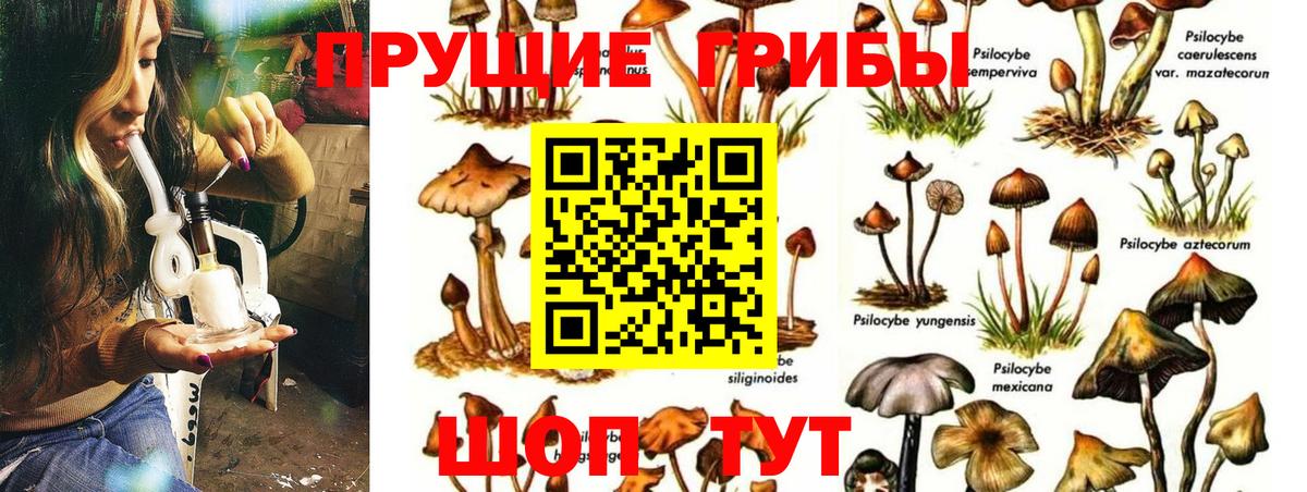 Галлюциногенные грибы Psilocybine cubensis  Галлюциногенные грибы ЛСД  купить наркотик  Магадан  Вход с VPN 