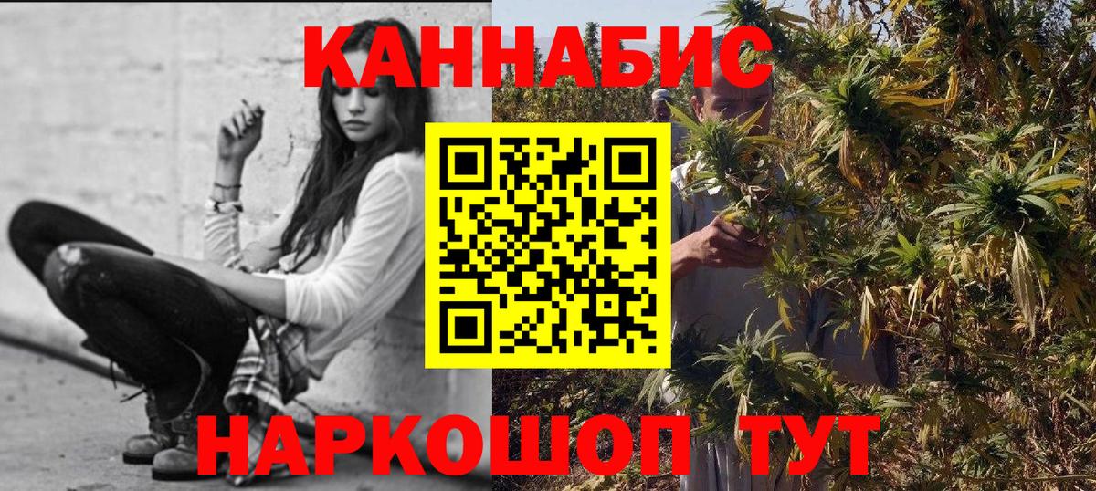 Бошки Шишки White Widow  Бошки Шишки Bruce Banner  Магадан  Вход с VPN  Шишки марихуана индика 